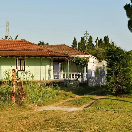 50 Steps From The Sea